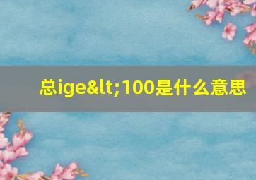 总ige<100是什么意思